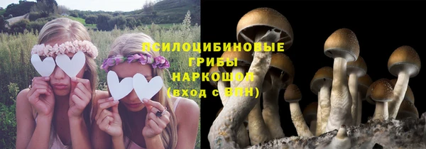 2c-b Лихославль