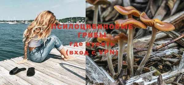 бошки Лиски