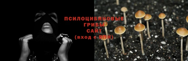2c-b Лихославль